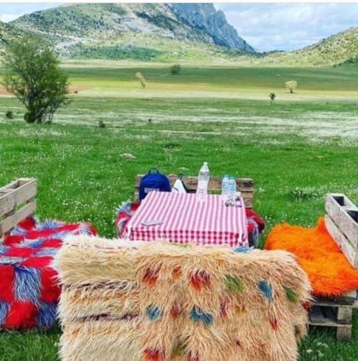 Cajupi